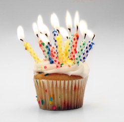 Birthday cupcake with candles