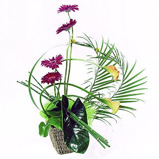 Your first arrangement won't be ambitious as this one.
