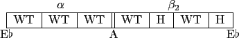 \begin{figure}\begin{center}
\begin{tabular}{p{.7cm}\vert p{.7cm}\vert p{.7cm}\v...
...}{c}{} & \multicolumn{2}{c}{E$\flat$} \\
\end{tabular}\end{center}
\end{figure}