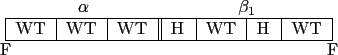 \begin{figure}\begin{center}
\begin{tabular}{p{.7cm}\vert p{.7cm}\vert p{.7cm}\v...
...umn{5}{c}{} & \multicolumn{2}{c}{F} \\
\end{tabular}\end{center}\end{figure}